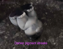 Load image into Gallery viewer, Small Bear - Soft Firmness