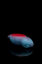 Charger l'image dans la galerie, Tsuchinoko - Douce fermeté