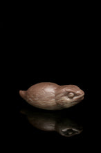 Load image into Gallery viewer, Large Tsuchinoko - Soft Firmness