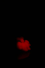 Load image into Gallery viewer, Medium Squishy Paw - Soft Firmness