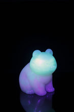 Load image into Gallery viewer, Big Bear - Soft Firmness