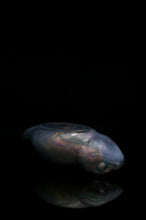 Load image into Gallery viewer, Large Tsuchinoko - NC Medium Firmness