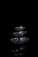 Load image into Gallery viewer, Pile o' Tsuchinoko (Medium+Small+Mini) NC Medium Firmness