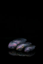 Load image into Gallery viewer, Pile o' Tsuchinoko (Medium+Small+Mini) NC Medium Firmness