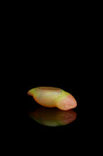 Load image into Gallery viewer, Medium Tsuchinoko - NC Medium Firmness