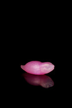Load image into Gallery viewer, Medium Tsuchinoko - NC Medium Firmness