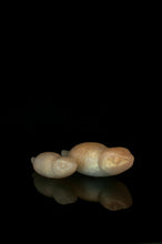 Charger l'image dans la galerie, Tsuchinoko Duo - NC Fermeté Moyenne