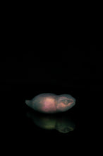 Load image into Gallery viewer, Medium Tsuchinoko - NC Medium Firmness