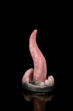 Charger l'image dans la galerie, Petit Xenom - Douce Fermeté