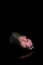 Charger l'image dans la galerie, Patte Squishy Moyenne - NC Fermeté Moyenne