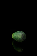 Charger l'image dans la galerie, Petit Ours - Douce Fermeté