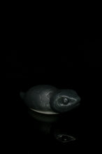 Charger l'image dans la galerie, Tsuchinoko - Douce fermeté