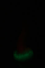 Load image into Gallery viewer, Small Xenom - Soft Firmness