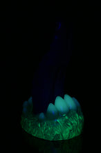 Charger l'image dans la galerie, Petit Xenom - Douce Fermeté