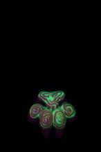 Charger l'image dans la galerie, Patte Squishy Moyenne - NC Fermeté Moyenne