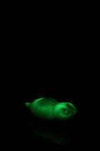 Charger l'image dans la galerie, Tsuchinoko - Douce fermeté