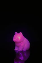 Charger l'image dans la galerie, Petit Ours - NC Fermeté Moyenne