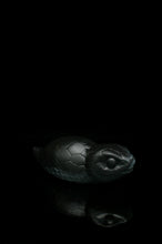 Charger l'image dans la galerie, Tsuchinoko - Douce fermeté