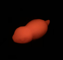 Load image into Gallery viewer, Large Tsuchinoko - Soft Firmness