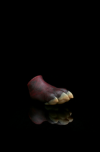 Load image into Gallery viewer, Squishy Paw - Medium Firmness