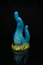 Charger l'image dans la galerie, Tentoulli - Douce Fermeté