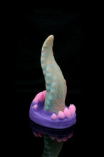 Charger l'image dans la galerie, Petit Xenom - Douce Fermeté