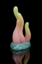 Charger l'image dans la galerie, Tentoulli - Douce Fermeté