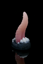 Charger l'image dans la galerie, Petit Xenom - Douce Fermeté