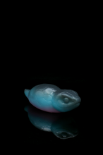 Load image into Gallery viewer, Large Tsuchinoko - Soft Firmness