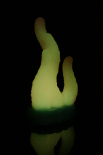 Charger l'image dans la galerie, Tentoulli - Douce Fermeté