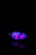Load image into Gallery viewer, Large Tsuchinoko - Soft Firmness