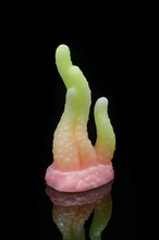 Charger l'image dans la galerie, Tentoulli - Douce Fermeté