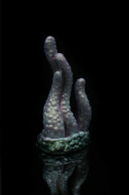 Charger l'image dans la galerie, Tentoulli - Douce Fermeté