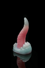 Charger l'image dans la galerie, Petit Xenom - Douce Fermeté