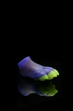 Load image into Gallery viewer, Squishy Paw - Soft Firmness