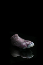 Load image into Gallery viewer, Squishy Paw - Soft Firmness