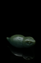 Charger l'image dans la galerie, *Changement de couleur* Grand Tsuchinoko - Fermeté moyenne