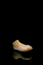 Load image into Gallery viewer, Squishy Paw - Medium Firmness