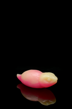 Load image into Gallery viewer, Large Tsuchinoko - Medium Firmness