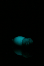 Load image into Gallery viewer, Large Tsuchinoko - Medium Firmness