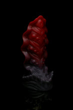 Charger l'image dans la galerie, Squill - Douce Fermeté