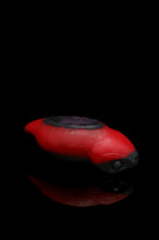 Load image into Gallery viewer, Large Tsuchinoko - Soft Firmness