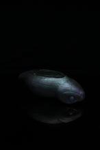 Load image into Gallery viewer, NC Large Tsuchinoko - Soft Firmness