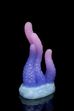 Charger l'image dans la galerie, Tentoulli - Douce Fermeté