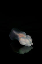 Load image into Gallery viewer, Medium Squishy Paw - NC Medium Firmness