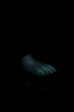 Charger l'image dans la galerie, *Changement de couleur* Petite patte spongieuse - Fermeté douce