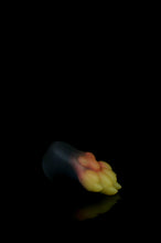 Charger l'image dans la galerie, *Changement de couleur* Petite patte spongieuse - Fermeté douce