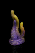 Charger l'image dans la galerie, Tentoulli - Douce Fermeté