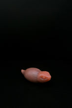 Load image into Gallery viewer, Medium Tsuchinoko - Soft Firmness