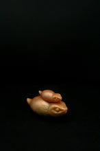 Load image into Gallery viewer, Pile o' Tsuchinoko (Medium,Mini) - Soft Firmness